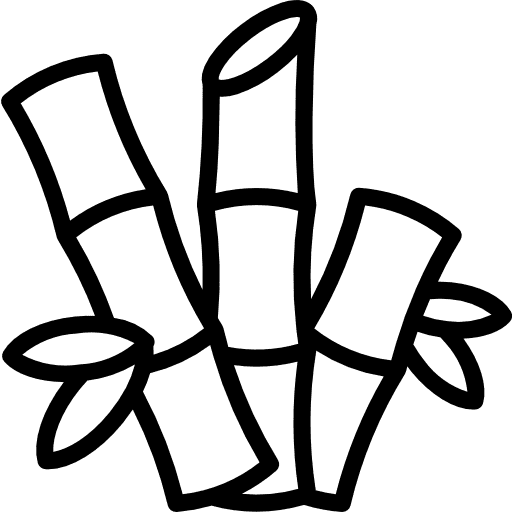 Bambusz