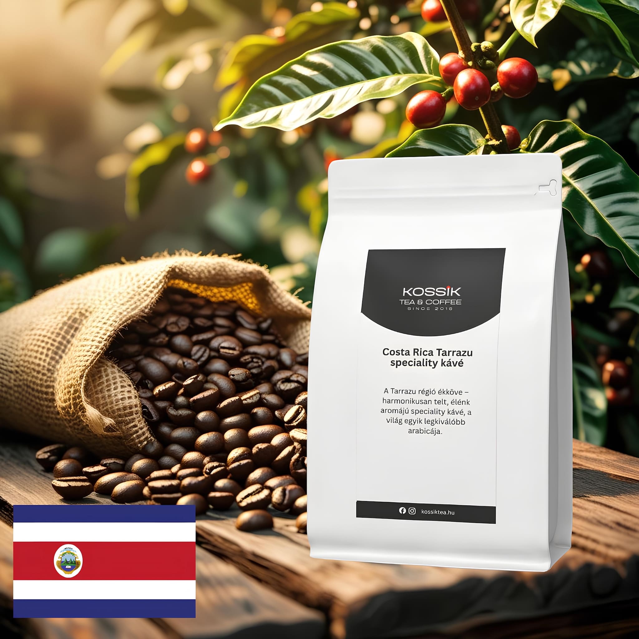 Costa Rica Tarrazu speciality kávé