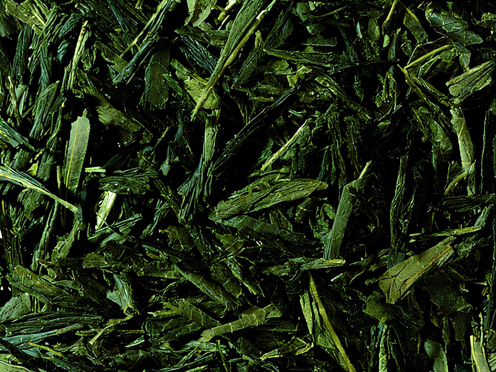 japán bancha bio zöld szálas tea, organikus minőség, frissítő íz, elérhető 100g és 250g kiszerelésben