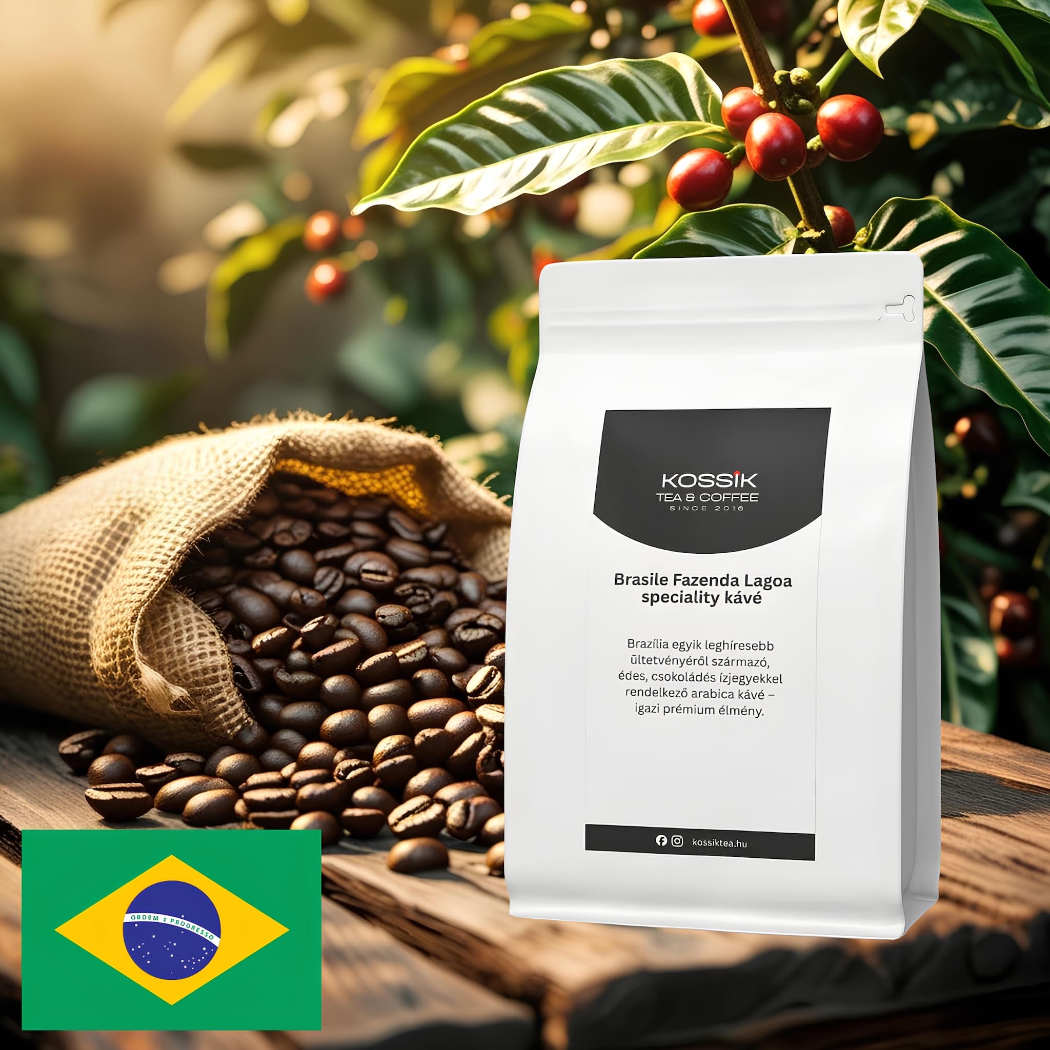 Brasile Fazenda Lagoa speciality kávé