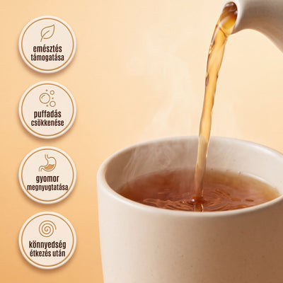Digestion Tea fűszeres gyógynövénykeveréke közelről