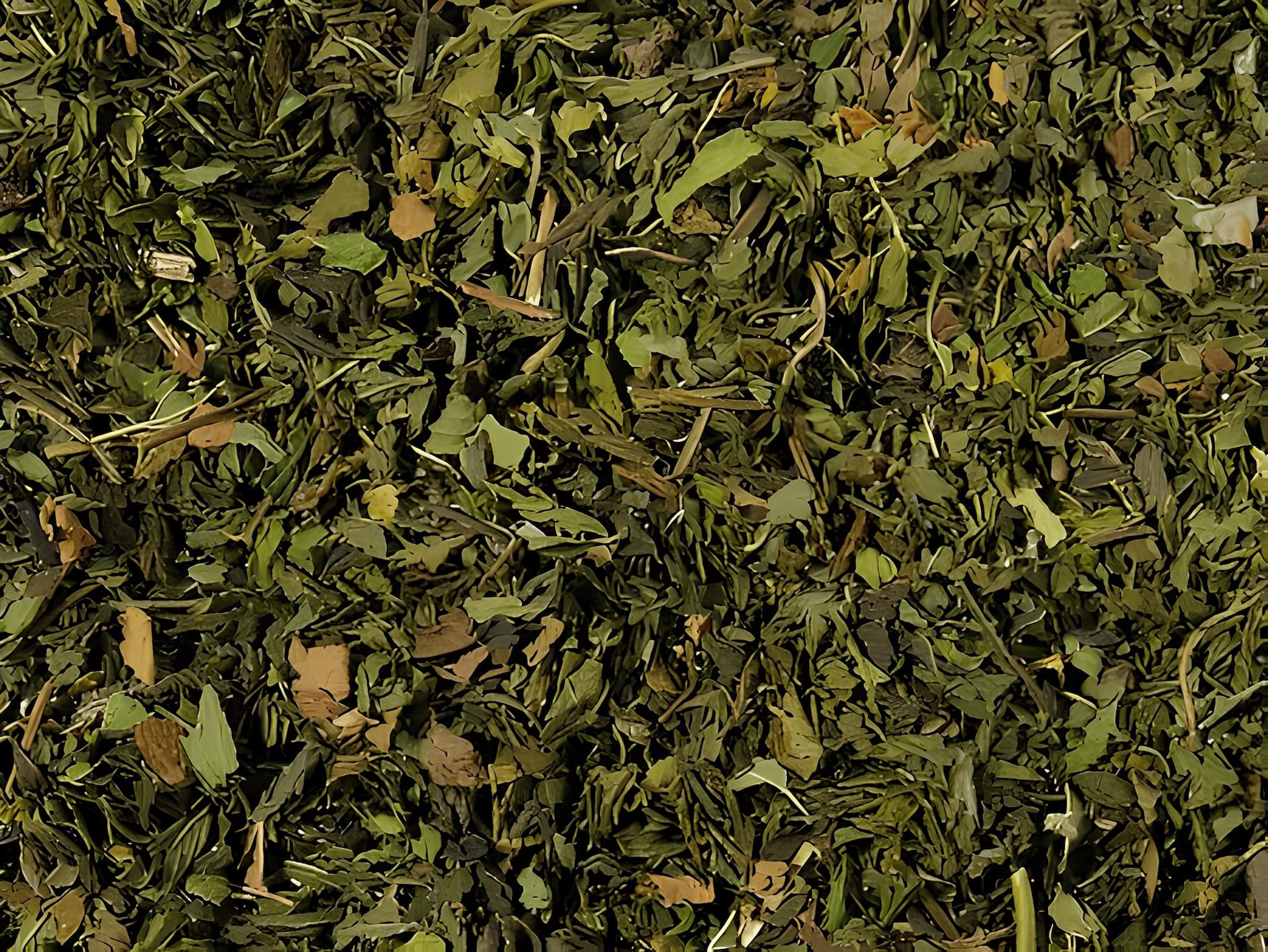 marokkói fodormenta élénkítő koffeinmentes gyógynövény szálas tea, prémium minőség, 100g és 250g kiszerelésben